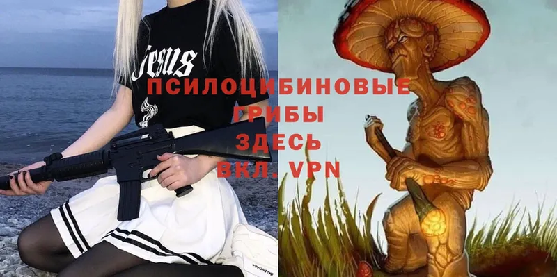 Псилоцибиновые грибы Psilocybine cubensis  Тобольск 